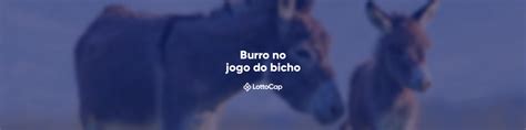 numero do burro no lottocap